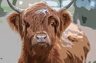 Schotse Hooglander  Cartoon van Ton Tolboom thumbnail