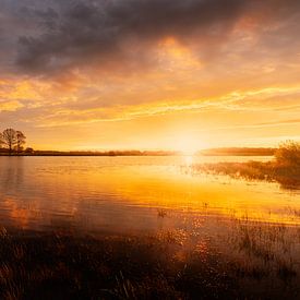 Goldener Sonnenaufgang über dem Scharreveld von KB Design & Photography (Karen Brouwer)