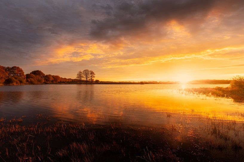 Goldener Sonnenaufgang über dem Scharreveld von KB Design & Photography (Karen Brouwer)
