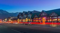 Jasper by Night van Dennis Werkman thumbnail