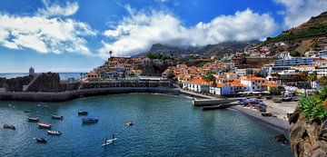 Camara De Lobos 1 van Maickel Dedeken