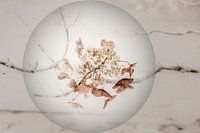 Still life in a Pearl 1.