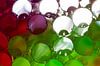Gekleurde rietjes met waterdruppels von Mark Scheper Miniaturansicht
