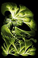 Green garden fairy