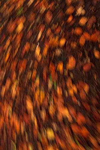 Herfstblad