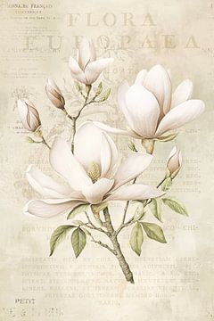 Magnolia Spring Romance Pastel Beige II von Andrea Haase