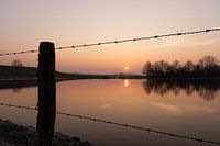 Solar wire