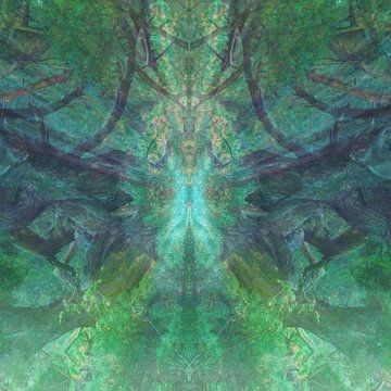 Kracht van LANETfotografie