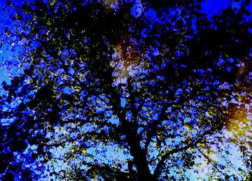 Tree Magic 112 - Nightfall!