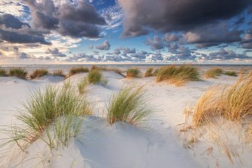 Dunes Oosterend Terschelling by Jurjen Veerman
