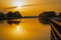 Silence d'or