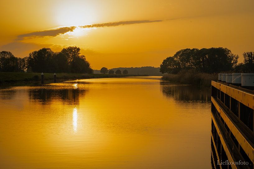 Silence d'or par Studio Liefkoos