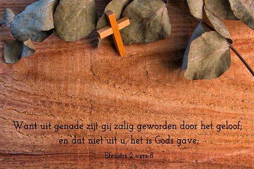 Want uit genade zijt gij zalig geworden door het geloof; en dat niet u