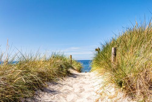 Meer, Strand und Dünen im Sommer – Strandaufgang