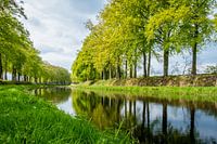 Voorjaar aan de Schipbeek