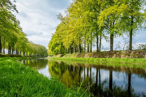 Frühling auf dem Schipbeek