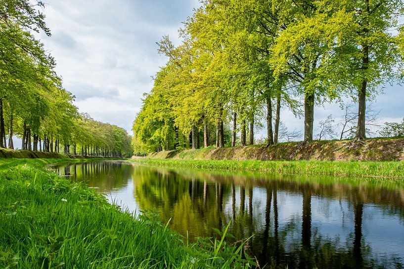 Voorjaar aan de Schipbeek van Beeldwoord