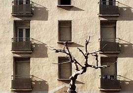 winter in Perpignan sur Henk Speksnijder