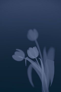 Ins tiefe Blumenblau 5