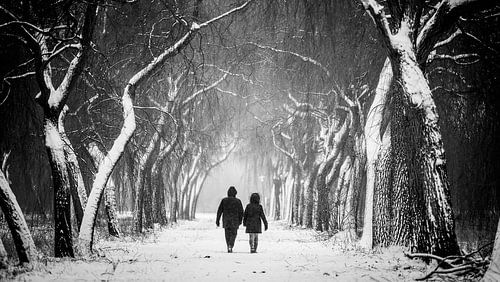 Wandelaars tussen treurwilgen in de sneeuw