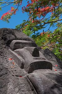 MOAI beeld van Paaseiland en Pohutukawa boom van Albert Brunsting