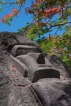 MOAI-Bild der Osterinsel und des Pohutukawa-Baums von Albert Brunsting