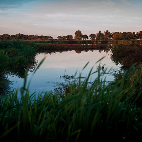 Herfstlicht in Friesland von Rene  den Engelsman