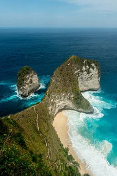 Paradise Nusa Penida, Kelingking Beach by Ellis Peeters