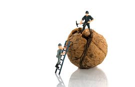 werk aan de weg met walnoot sur ChrisWillemsen