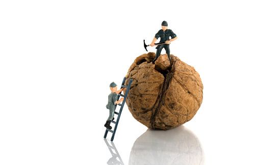 work in progress on walnut