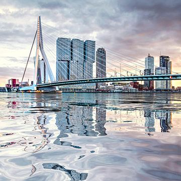 Water reflection Erasmus Bridge Rotterdam
