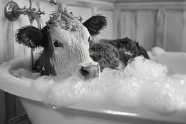 Kuh in der Badewanne - Ein originelles Badezimmerbild für Ihr WC