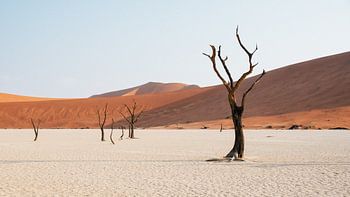 Deadvlei | Namibia, Sossusvlei