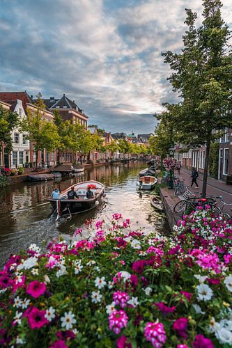Leiden - Summer day with boat on the Old Rhine (0067)