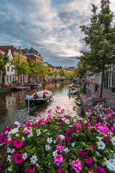 Leiden - Summer day with boat on the Old Rhine (0067) by Reezyard