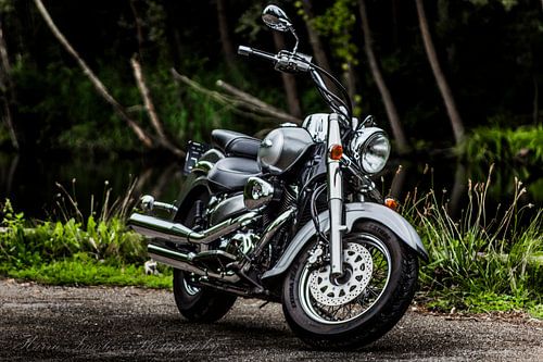 Suzuki Volusia VL800