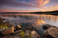Lacs suédois par Hans van den Beukel Aperçu