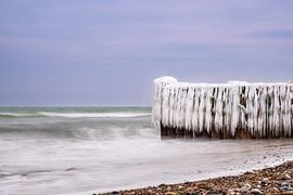 Epi en hiver sur la côte de la mer Baltique près de Kühlungsborn. sur Rico Ködder