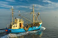 Fishing cutter on the Nordsse