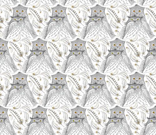 Uilen Familie met gouden veren