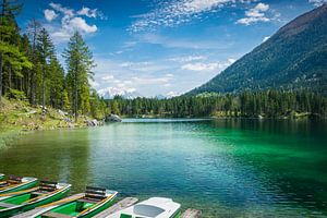 Frühjahr am Hintersee