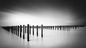 Formation sur Christophe Staelens