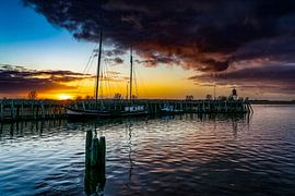 Zoutkamperril by Gerrit Kuyvenhoven