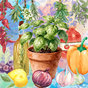 A colourful world of spices