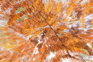 Natur in abstrakten Blöcken (Abstrakte Bearbeitung eines Fotos von verfaulten Farnblättern)