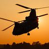 Koninklijke Luchtmacht CH-47 Chinook van Dirk Jan de Ridder - Ridder Aero Media