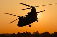 Forces aériennes royales néerlandaises CH-47 Chinook par Dirk Jan de Ridder - Ridder Aero Media Aperçu