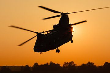 Niederländische Luftwaffe CH-47 Chinook