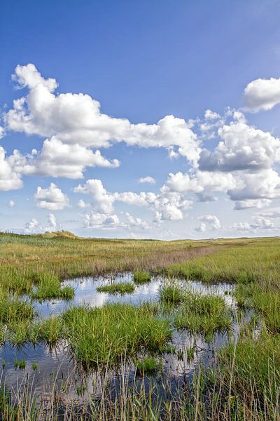 Paysage de dunes de Texel par Justin Sinner Pictures ( Fotograaf op Texel)