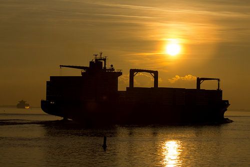 Groot containerschip varend over de Westerschelde richting de Noordzee.